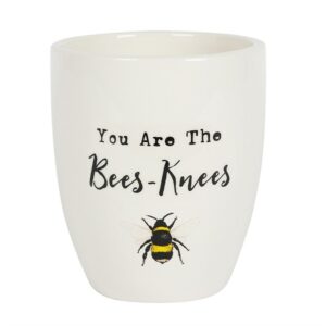 ceramic plant pot with an illustration of a bee on it underneath the phrase, "You are the bees-knees"