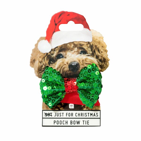 Festive bowtie dog collar in packaging on white